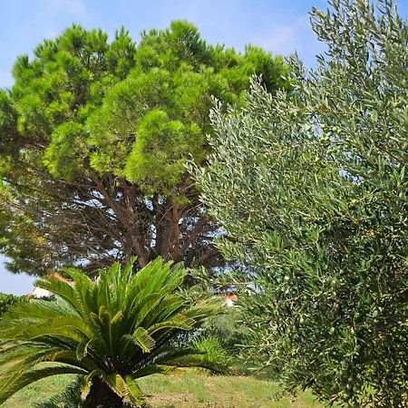 Milada Appartamento Banjol