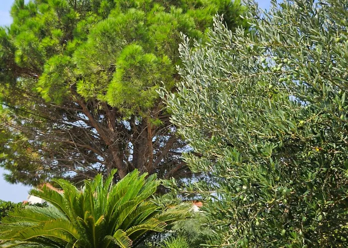 Milada アパート Banjol